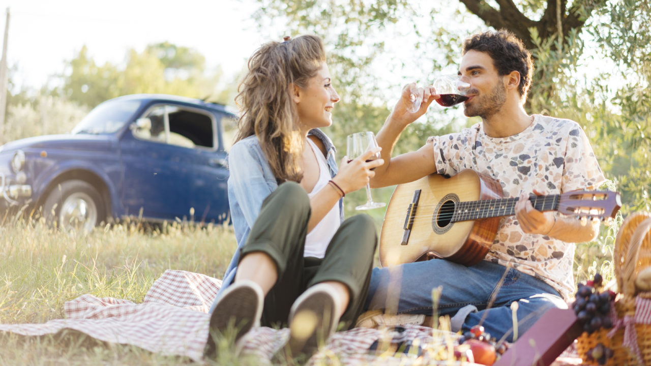 Romantic Picnic Memories